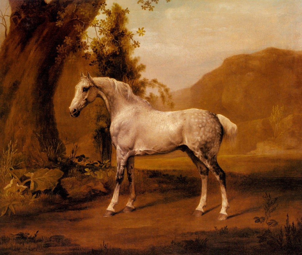 George Stubbs A Grey Stallion In A Landscape